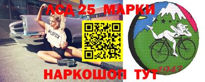 амф Камышлов
