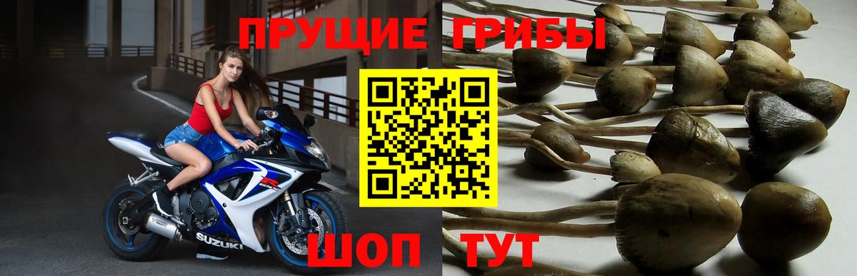 Галлюциногенные грибы Magic Shrooms  Вход с VPN  Кушва 